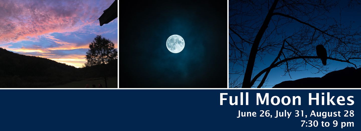 Moonlit sky collage with sunset clouds, a bright full moon, and silhouetted tree branches; text reads “Full Moon Hikes” June 26, July 31 & August 28. Hike time 7:30 - 9 pm