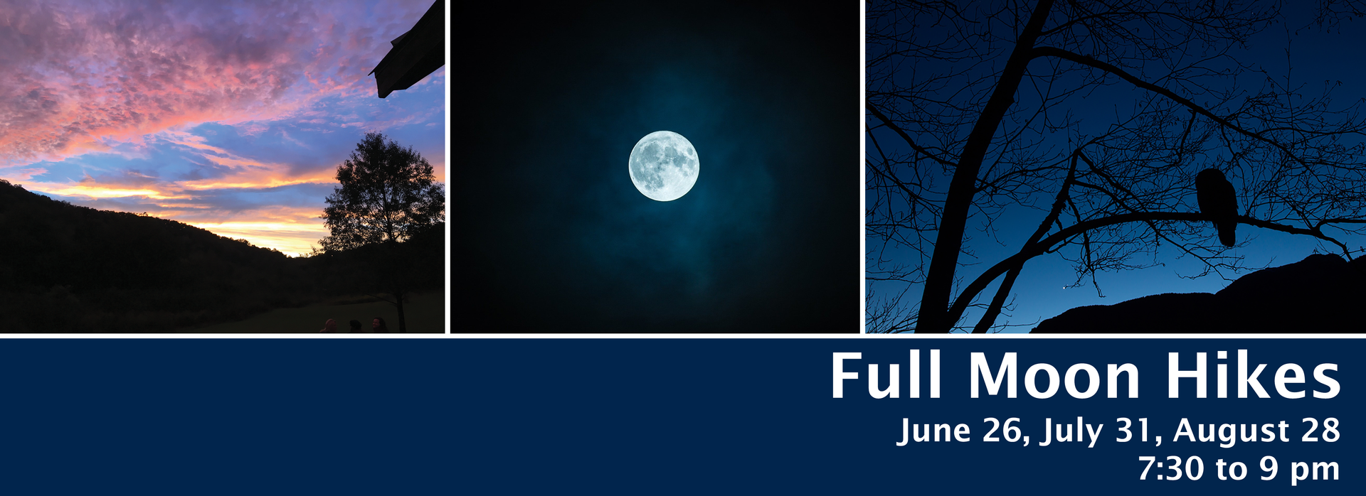 Moonlit sky collage with sunset clouds, a bright full moon, and silhouetted tree branches; text reads “Full Moon Hikes” June 26, July 31 & August 28. Hike time 7:30 - 9 pm