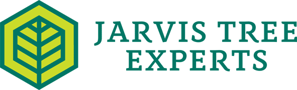 Logo for Jarvis Tree Experts, featuring a lime green hexagon containing a stylized tree icon next to the company name.