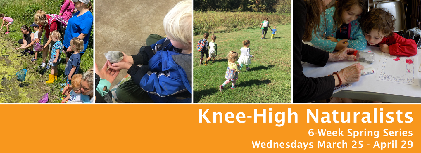 Children explore nature outdoors. Text: Knee-High Naturalists, 6 Week Spring Series. Wednesdays March 25 - April 29