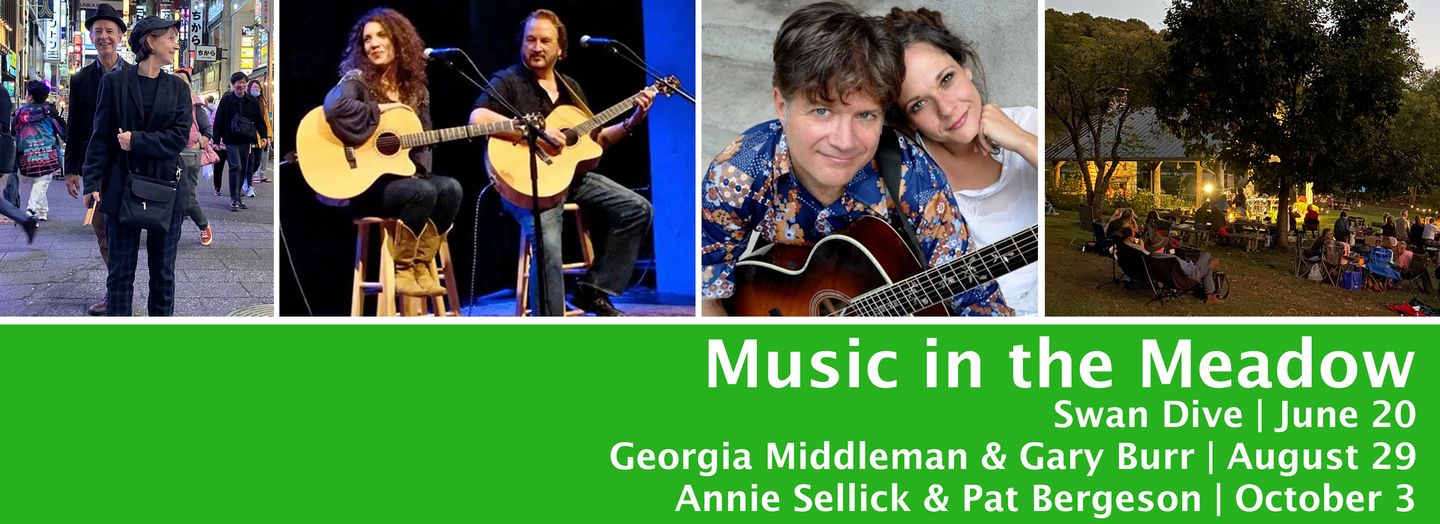 Music in the Meadow event poster with four band photos and concert dates in green and white text