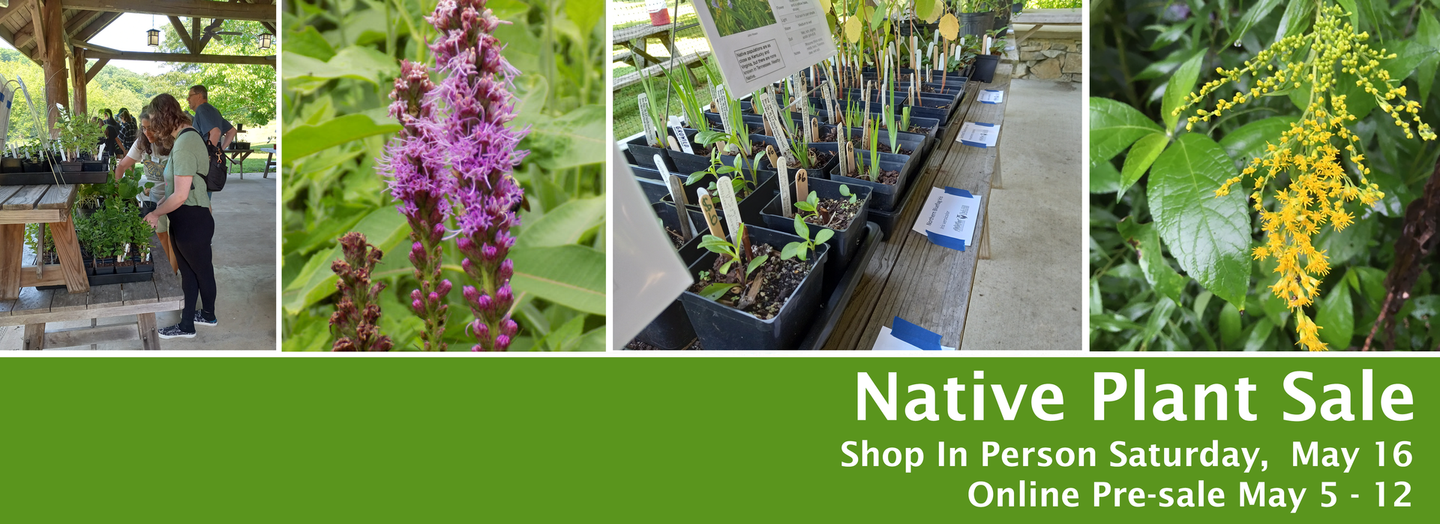 Native plant sale collage with flowers and greenhouse tables; text: 