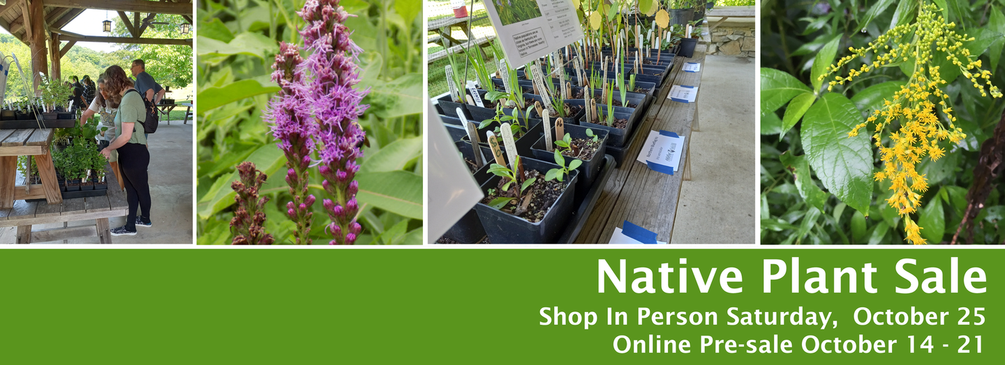 Native plant sale banner: people shopping, blooming flowers, and plants with text: shop Oct 25, online presale Oct 14-21.