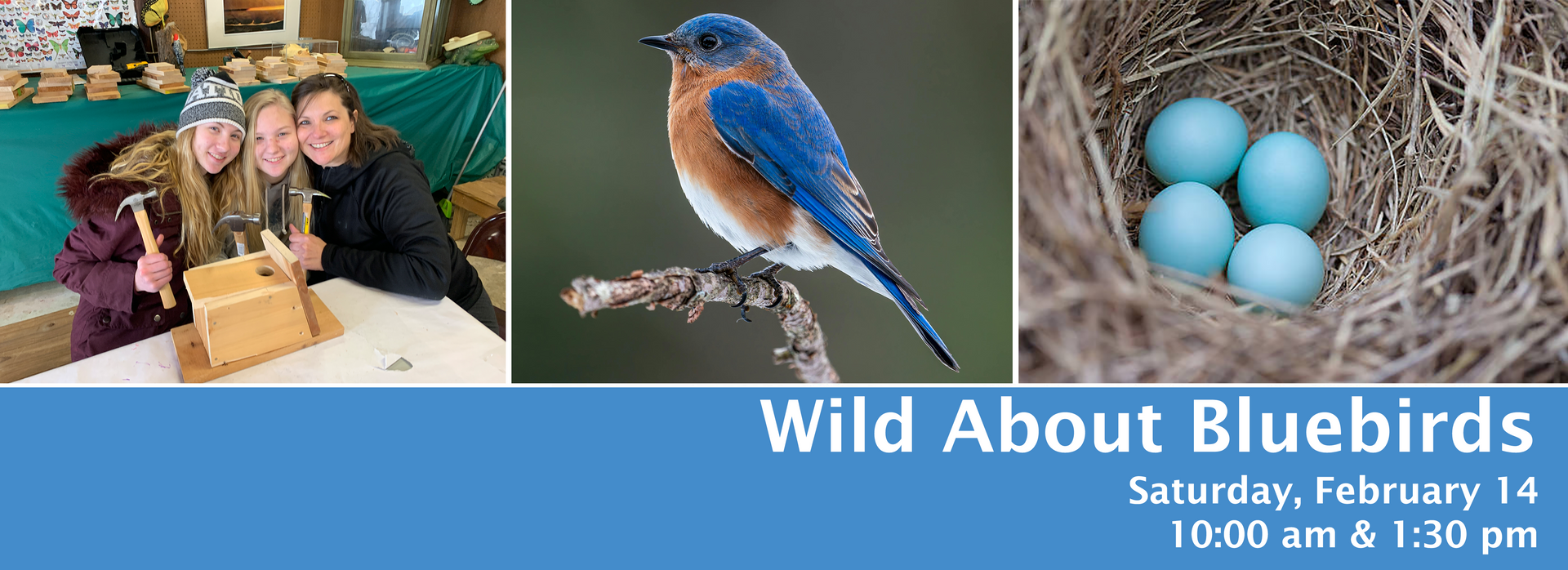 Event banner: People building birdhouse, bluebird on branch, blue eggs in nest. Program date February 14