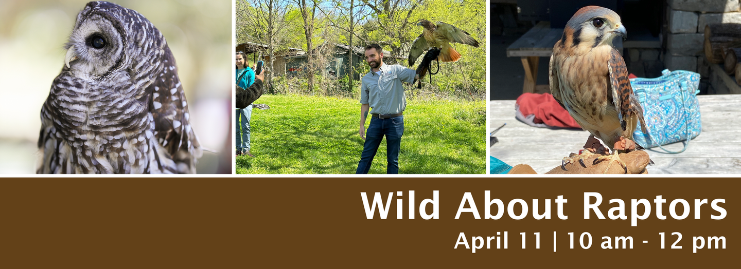 An owl, a man holding a raptor, and a raptor on a perch. Event details: 