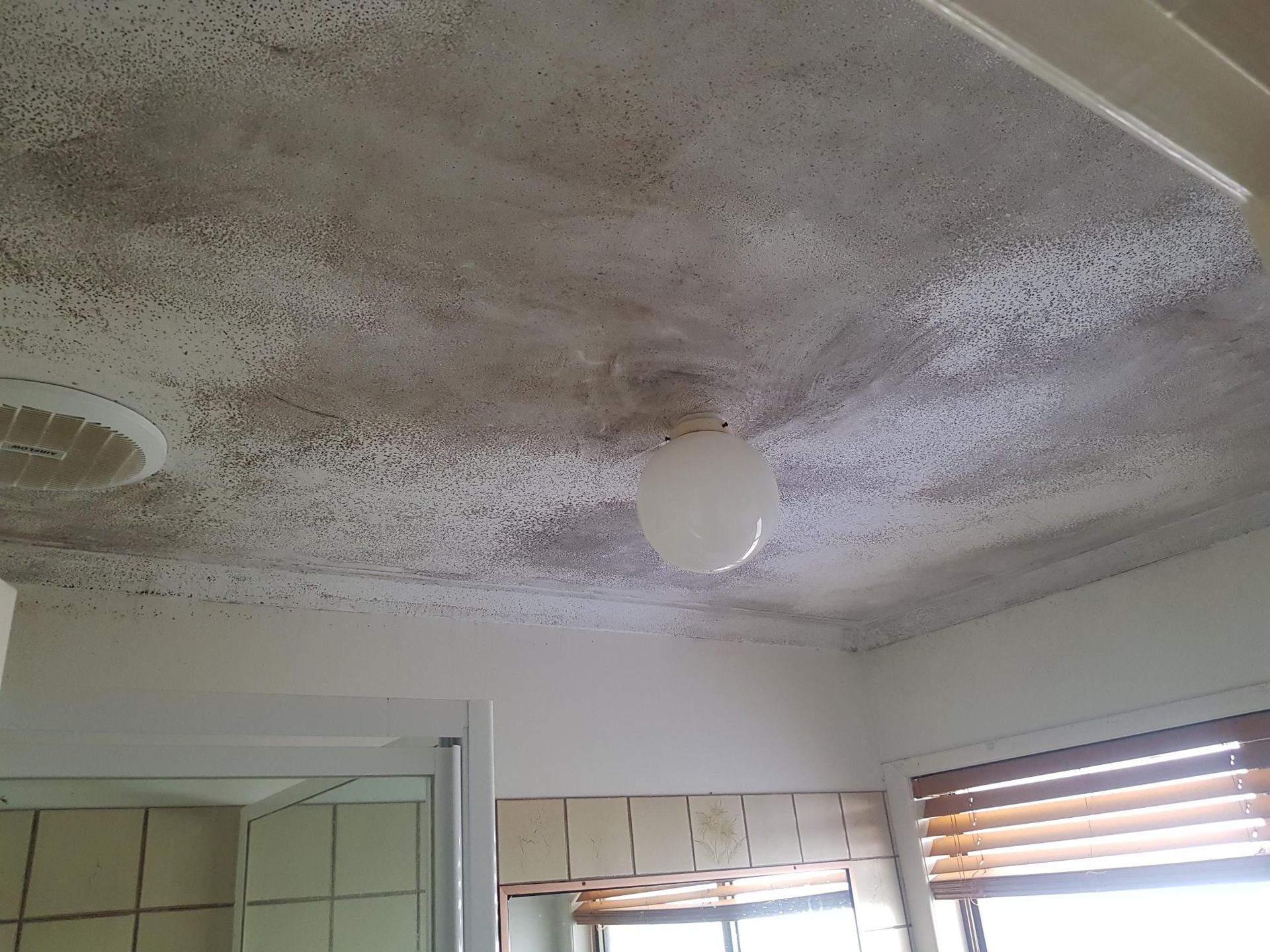 Mold covers textured ceiling in bathroom.