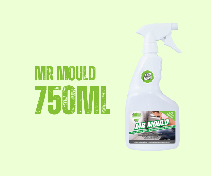 Bottle of Mr Mould cleaner, 750ml, with spray nozzle, on a light green background.