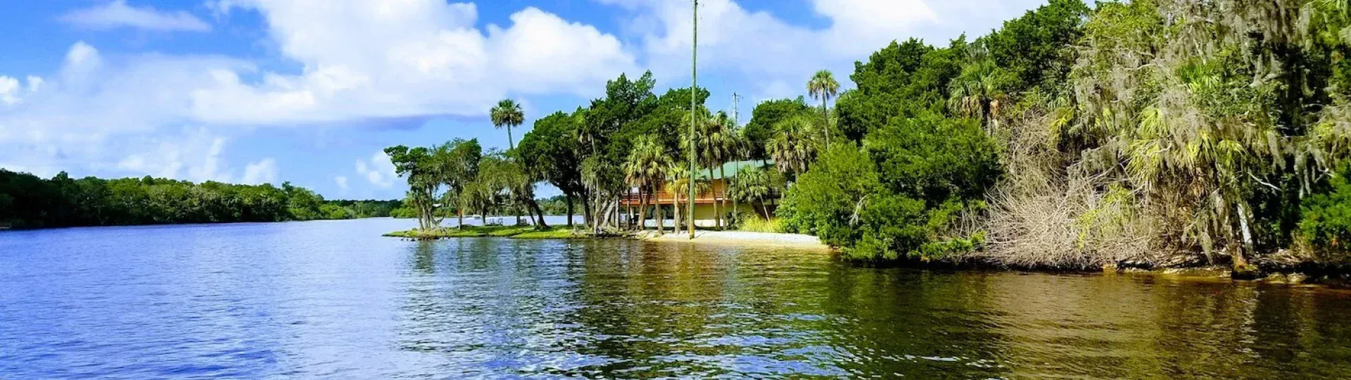 Tropical riverside with blue sky, calm water, palm trees, and a rocky shoreline