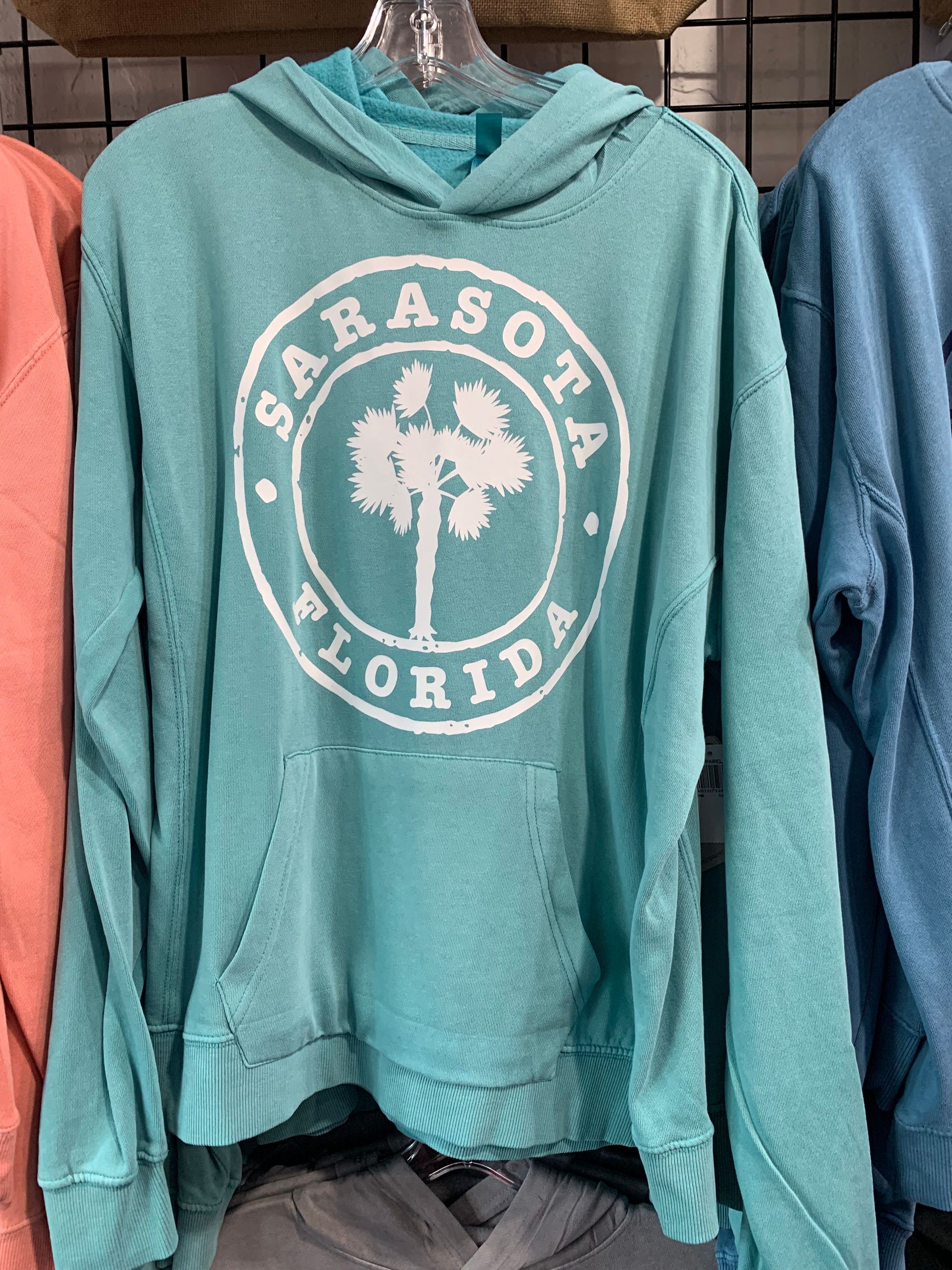 Teal hoodie with 