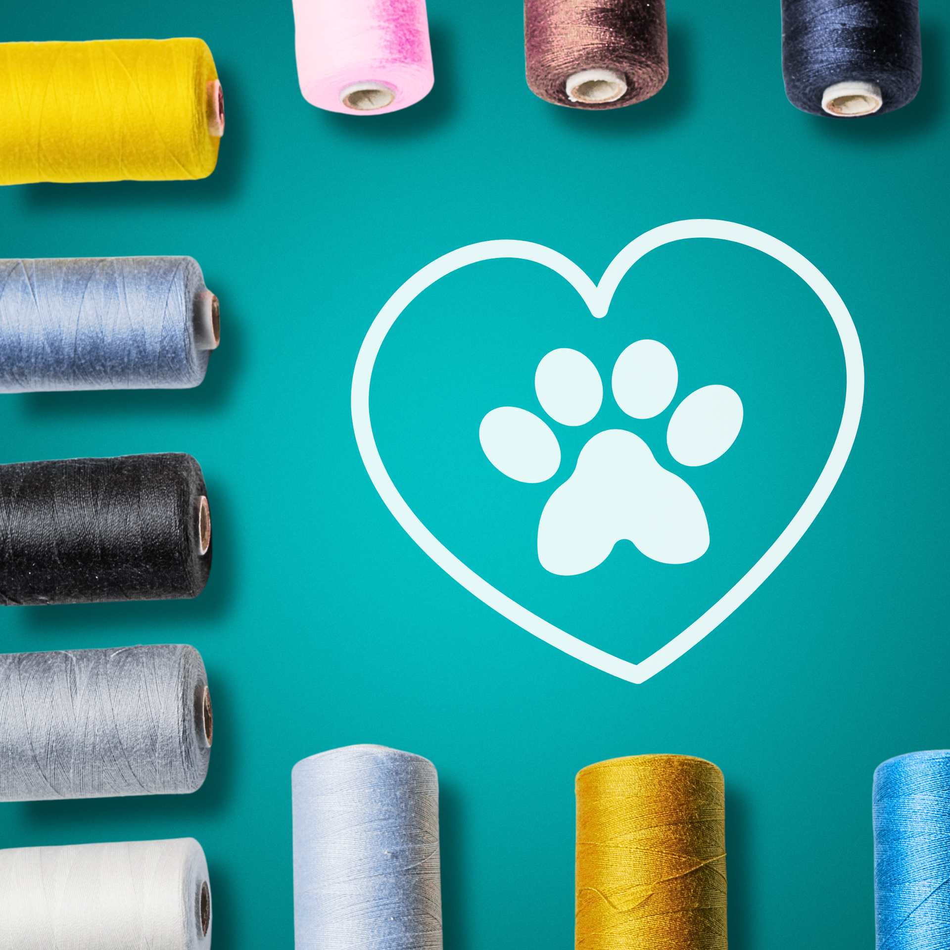 A turquoise background with various color spools of thread going around the border.