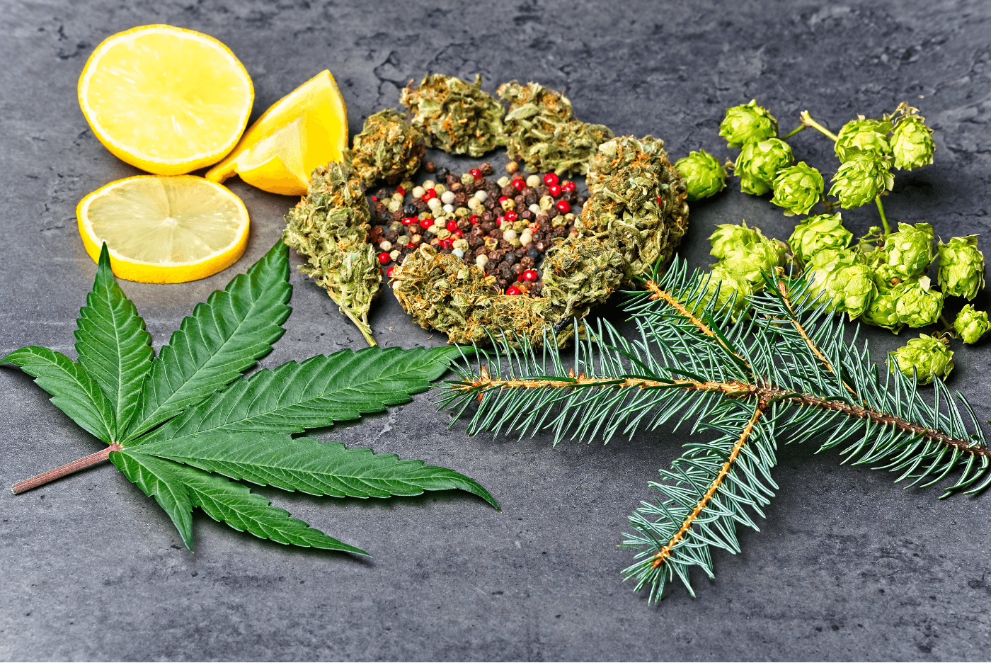 Cannabis with lemons, pepper, hops, and pine