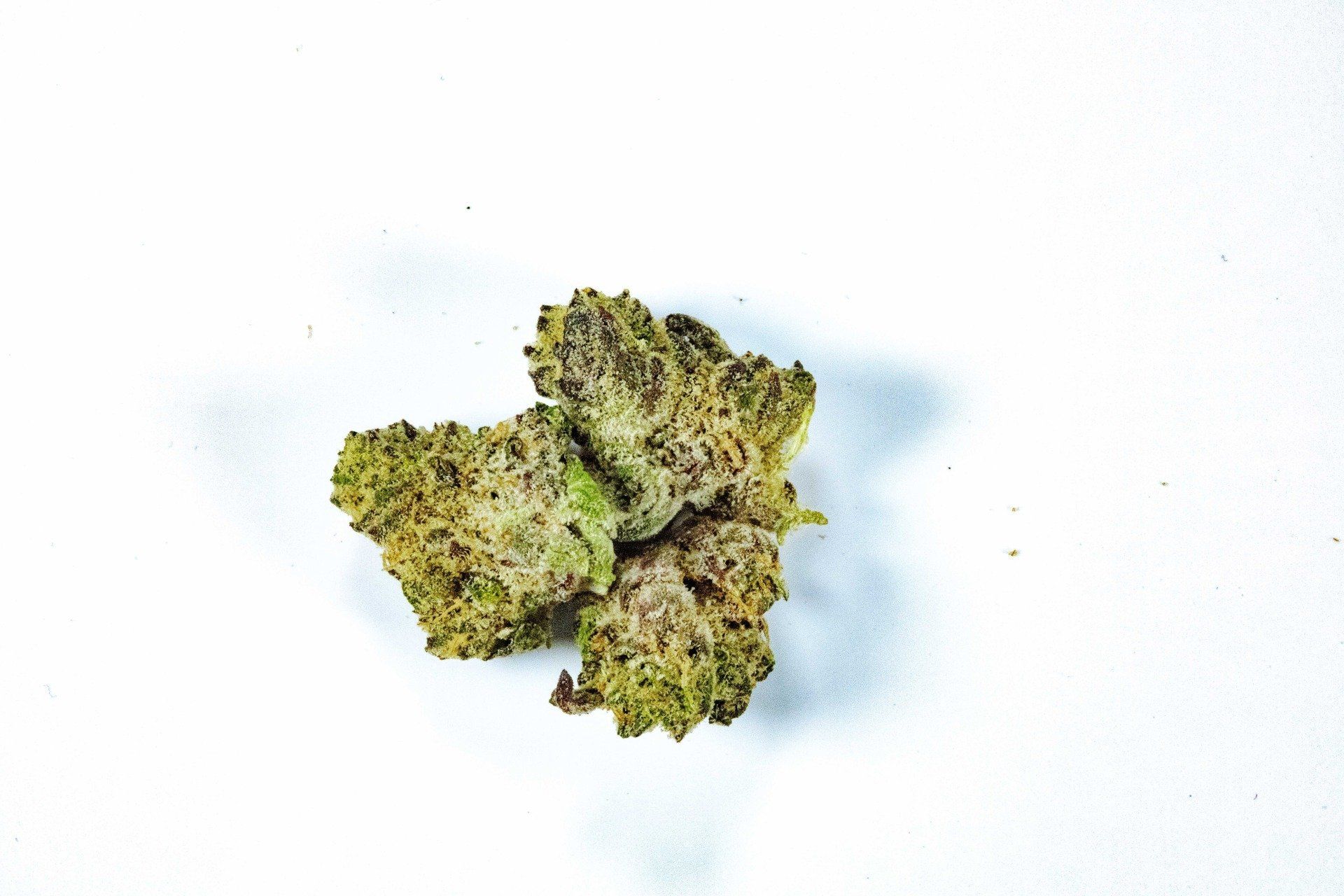 Nugs de mentas Kush