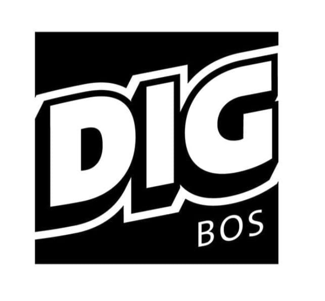 Dig Boston logo