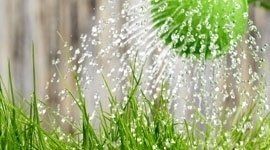 sistema di irrigazione per giardino