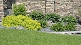 giardino con varie specie di piante