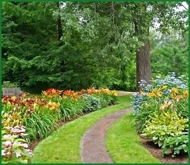 viale all'interno di un parco