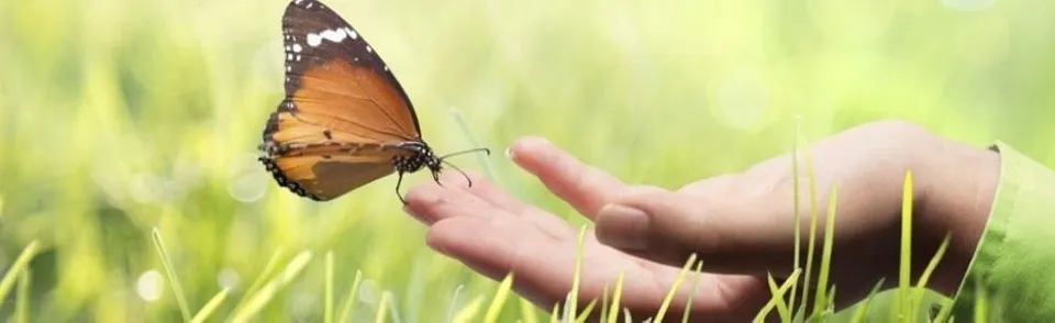 natura incontaminata