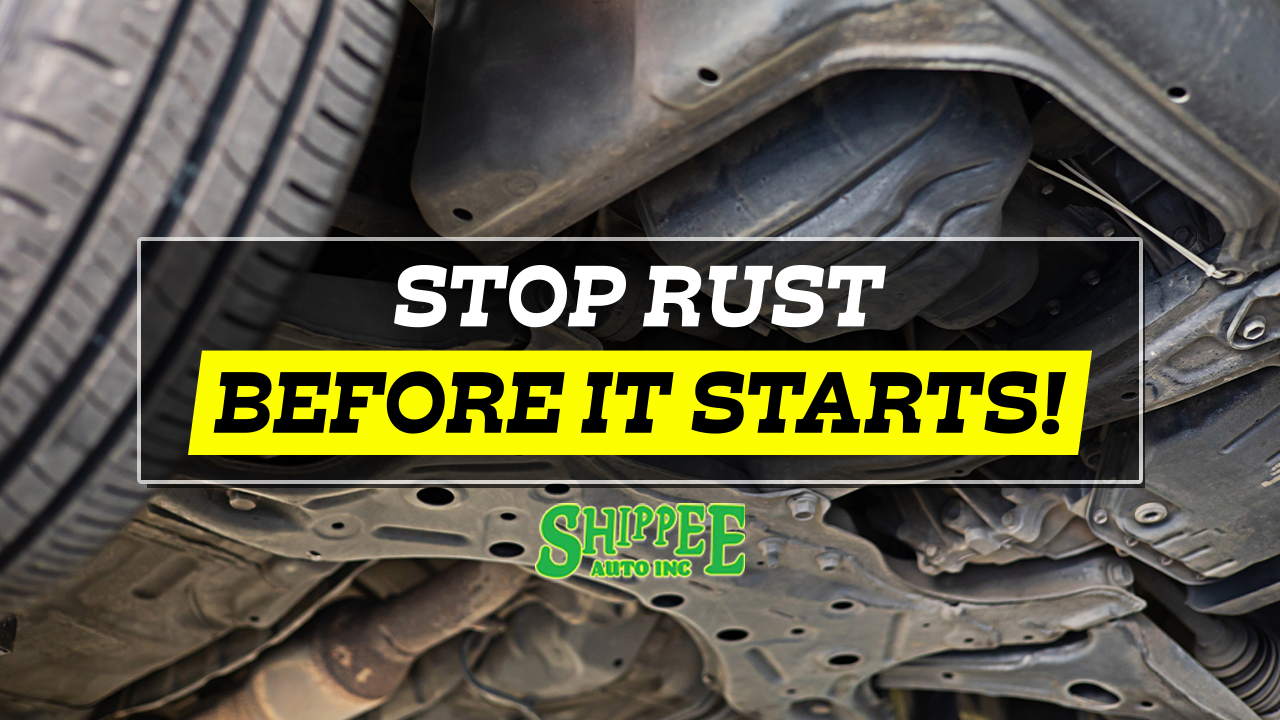 Fluid Film Undercoating offered at Shippee Auto Inc