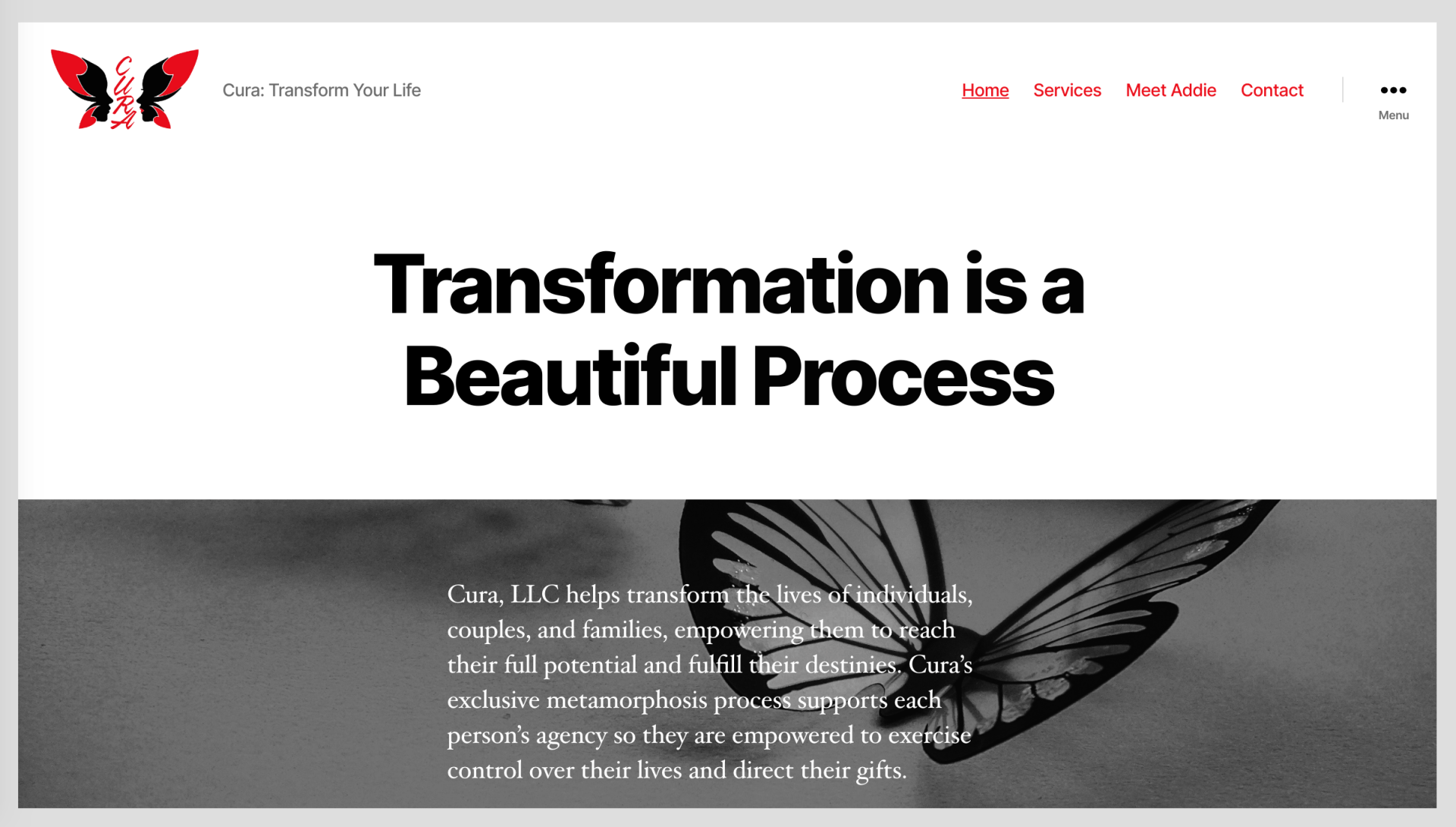 Website homepage with butterfly graphic; 