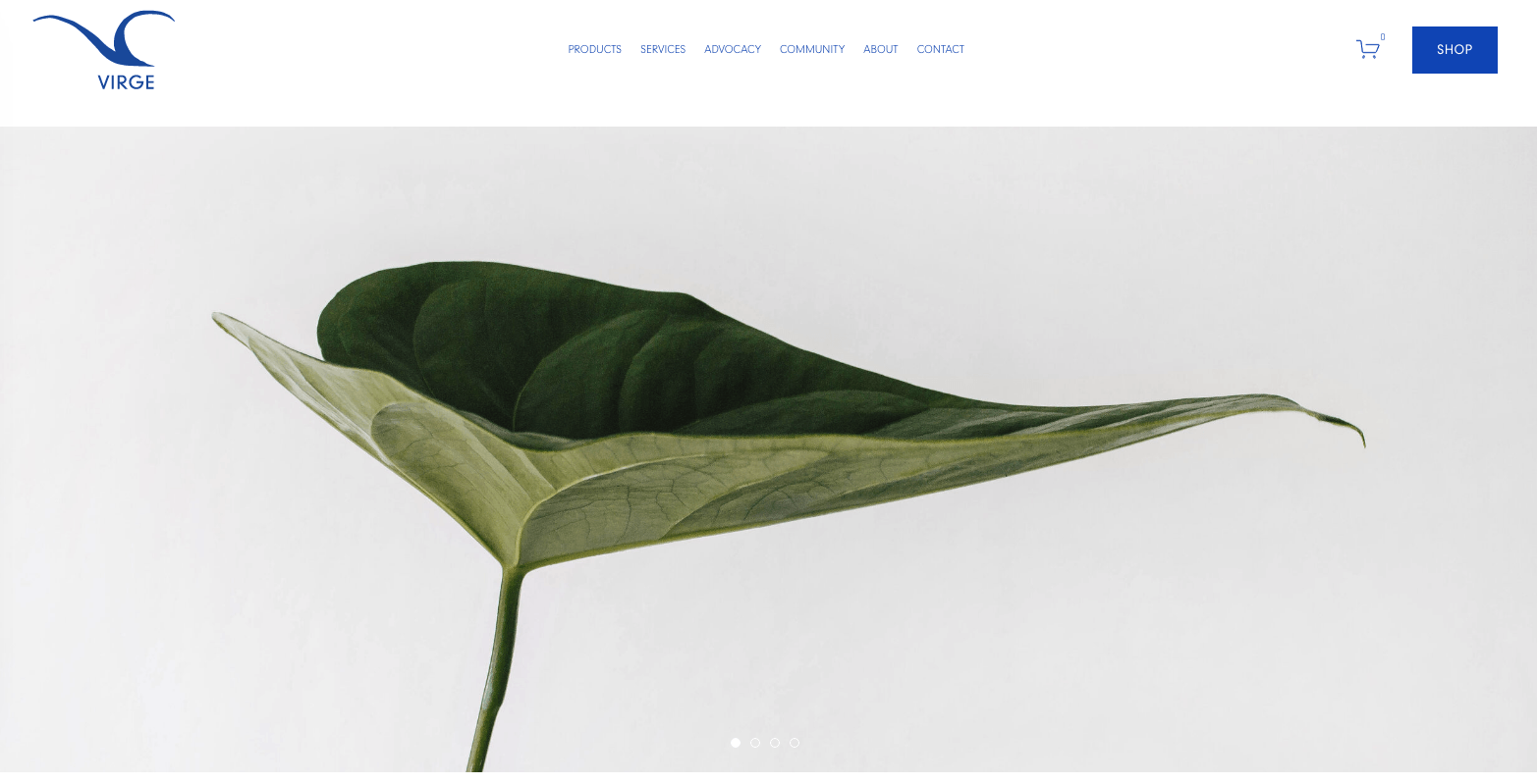 Large, green leaf against a white background.