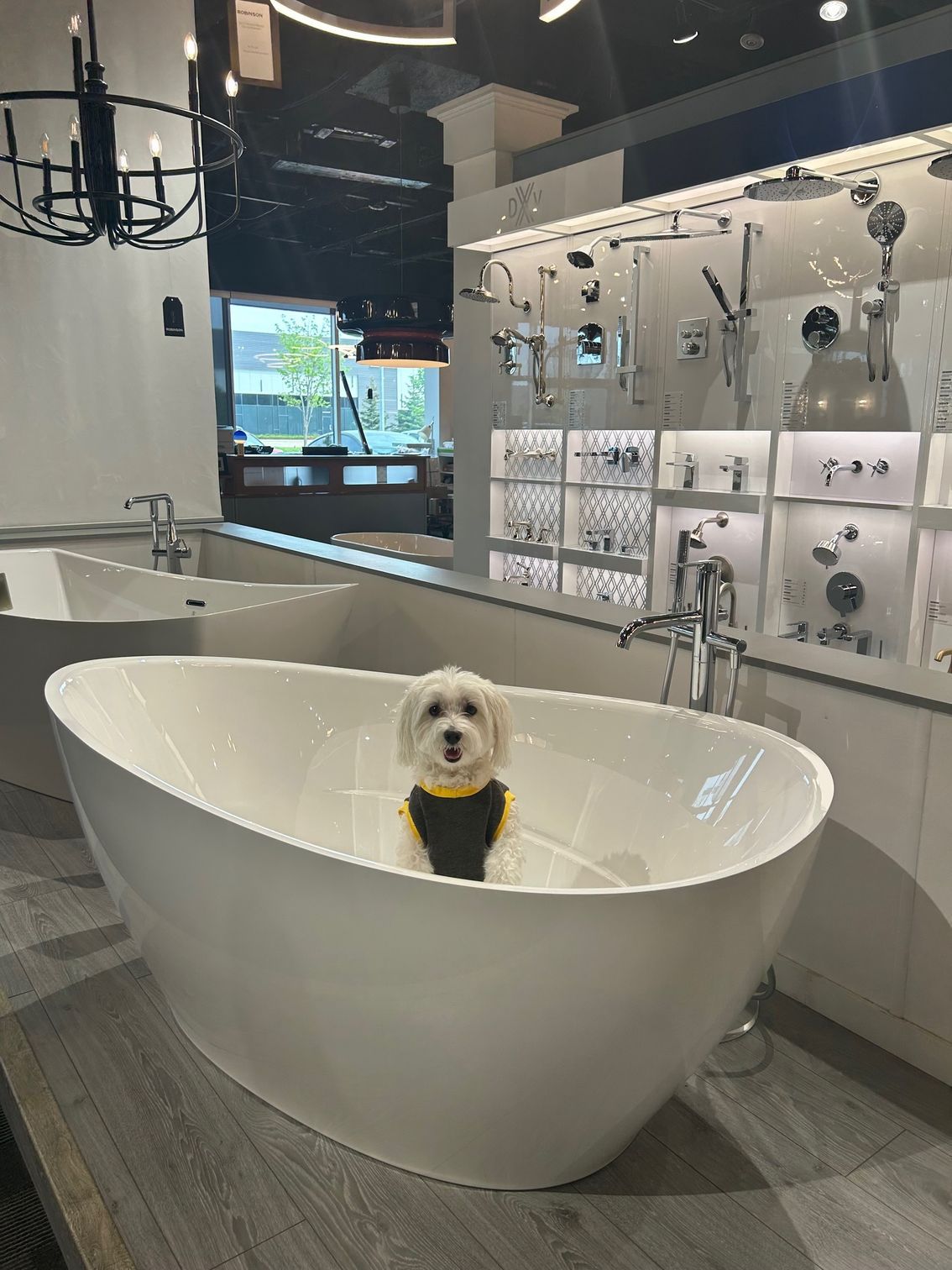 A small dog is sitting in a bathtub in a bathroom.