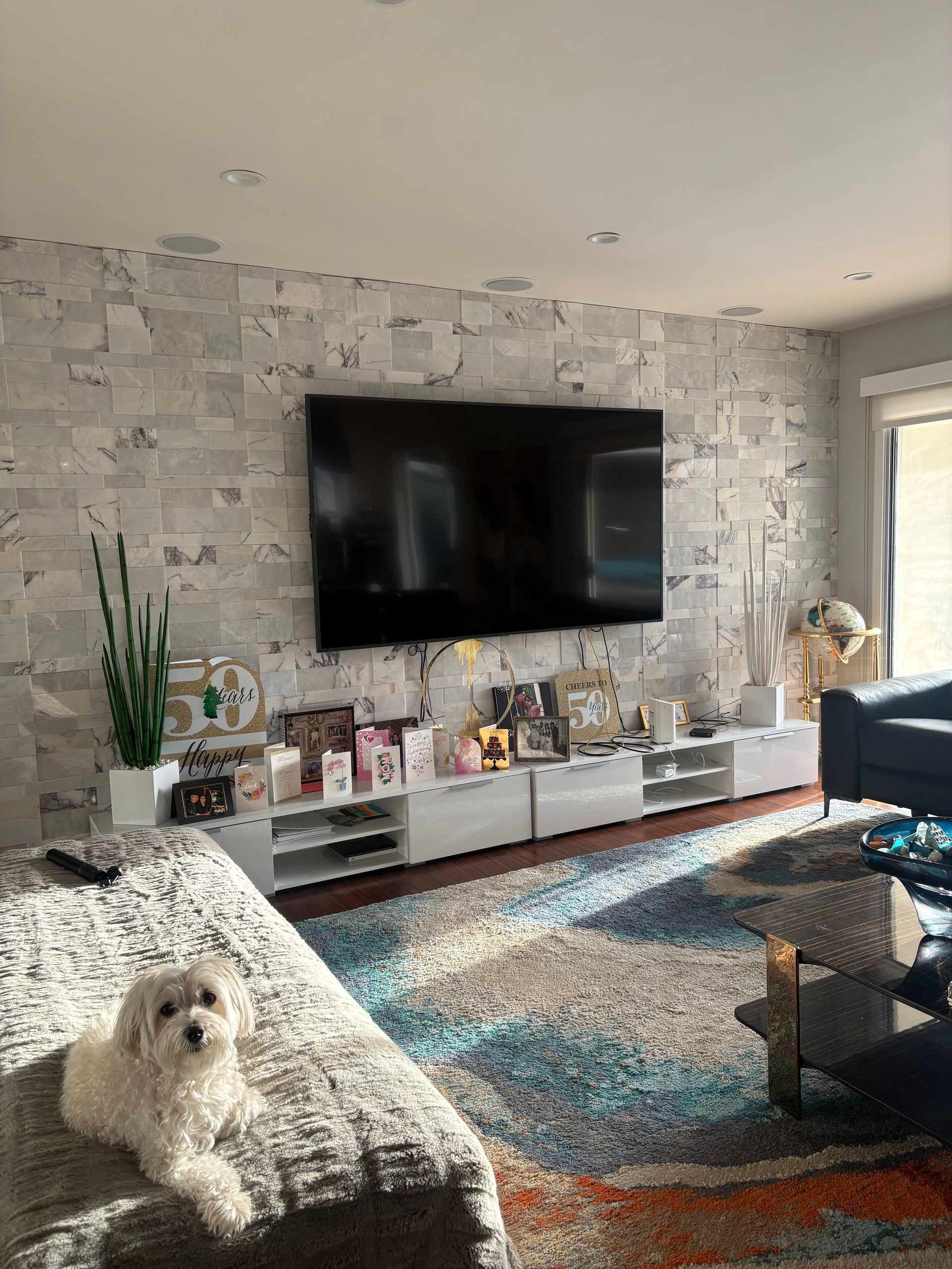 A small white dog lounges on a couch in a sunlit living room with a large TV and white cabinets.