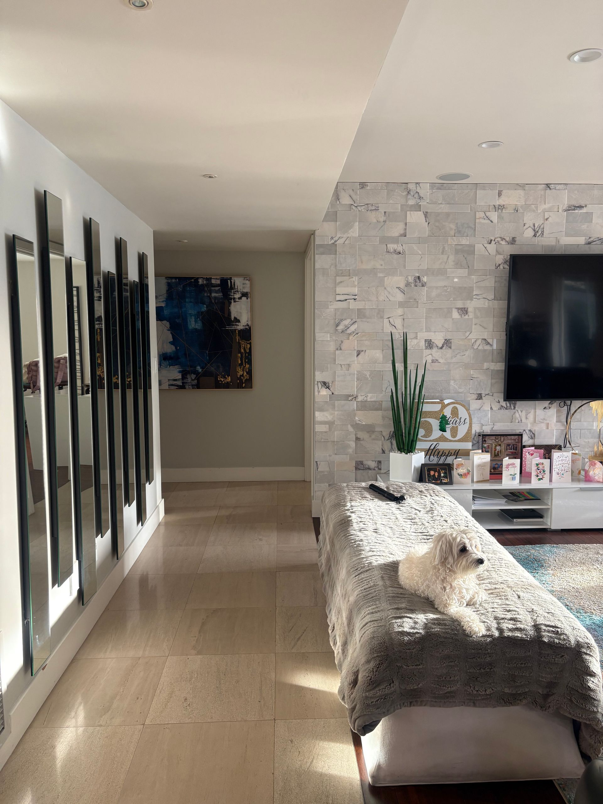 A dog rests on a bench in a modern living room with mirrors, art, and a patterned wall.