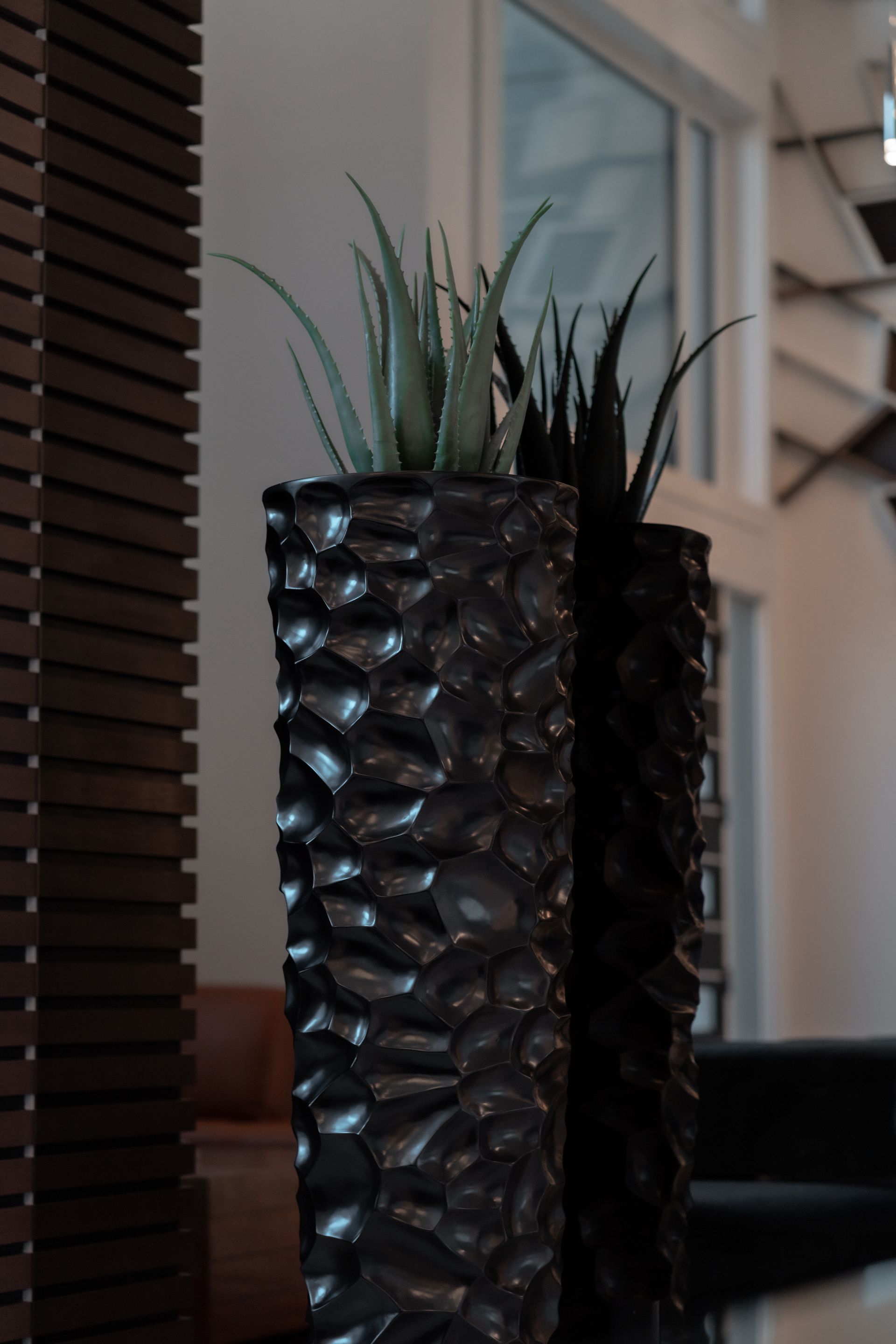 Two black vases with plants in them in a living room
