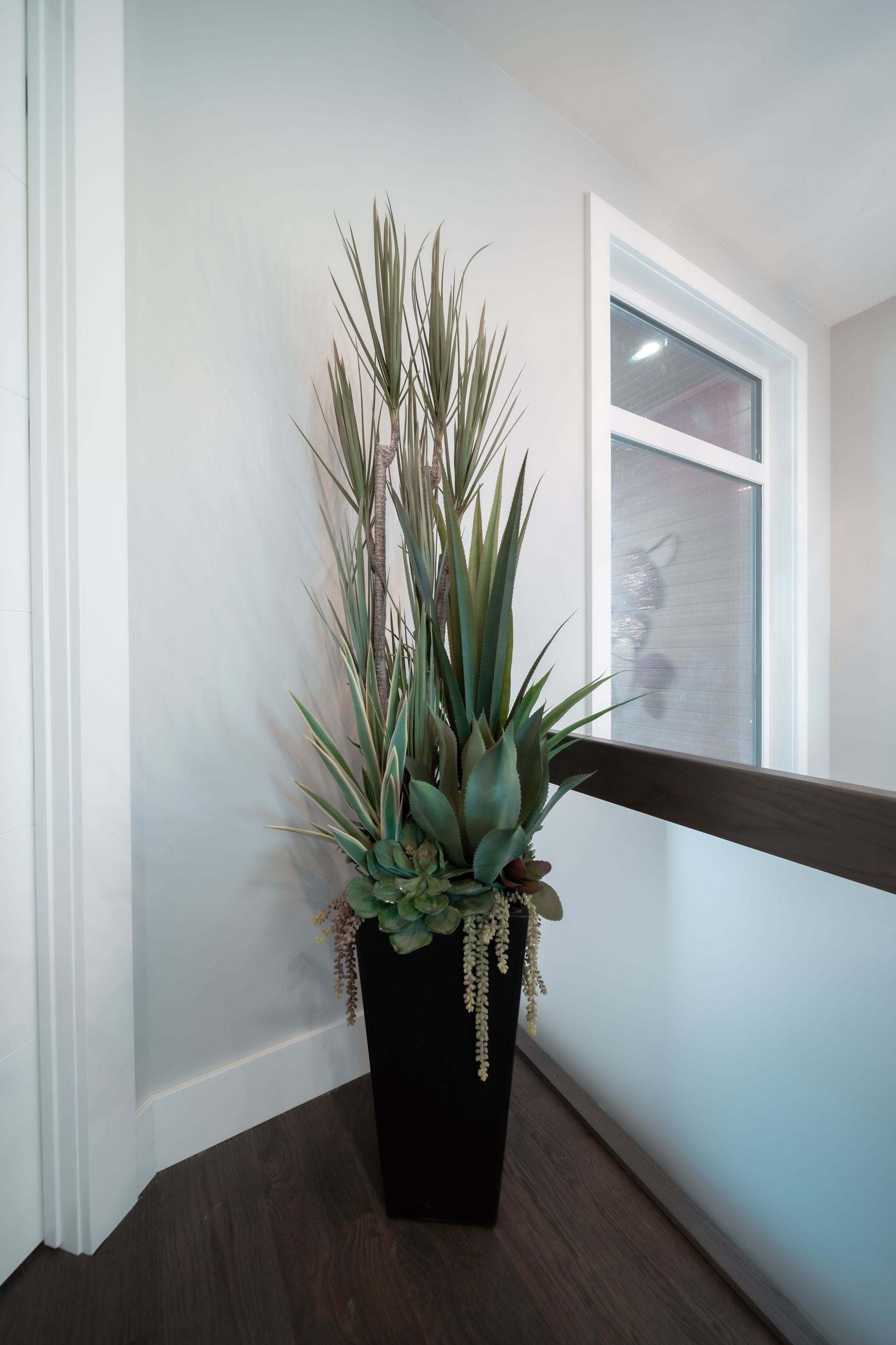 A potted plant in a corner of a room next to a window