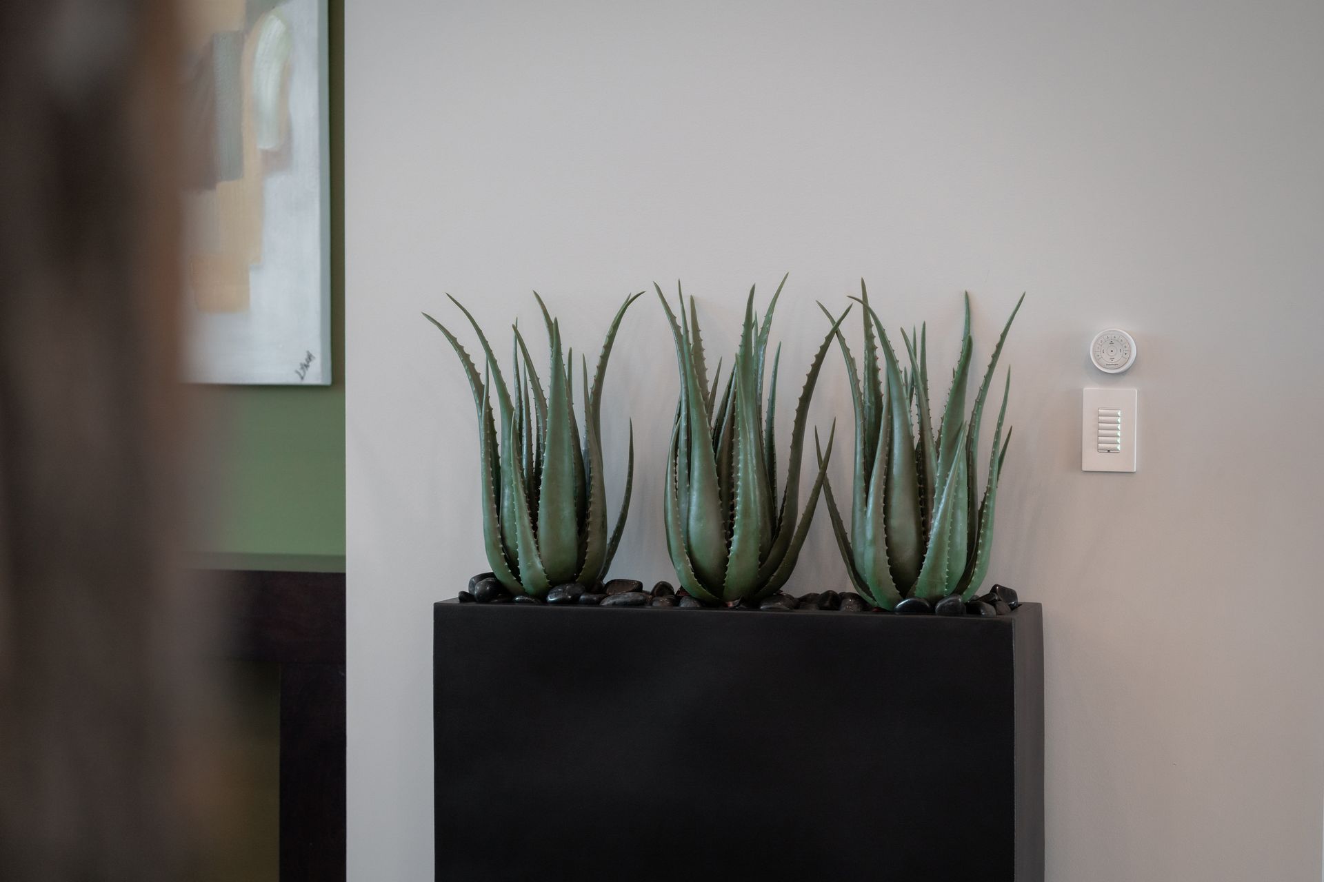 A row of aloe vera plants in a black planter against a white wall.