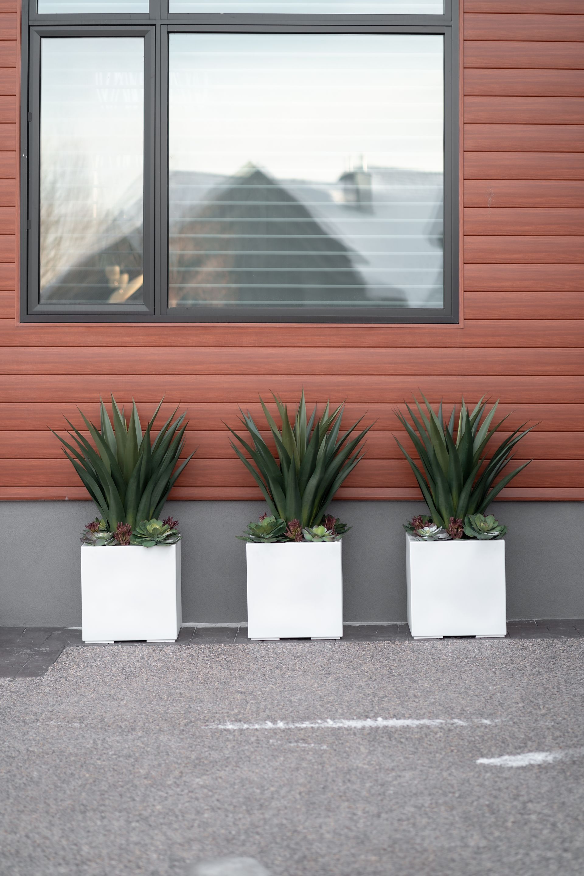 Three potted plants are sitting in front of a window on the side of a building.