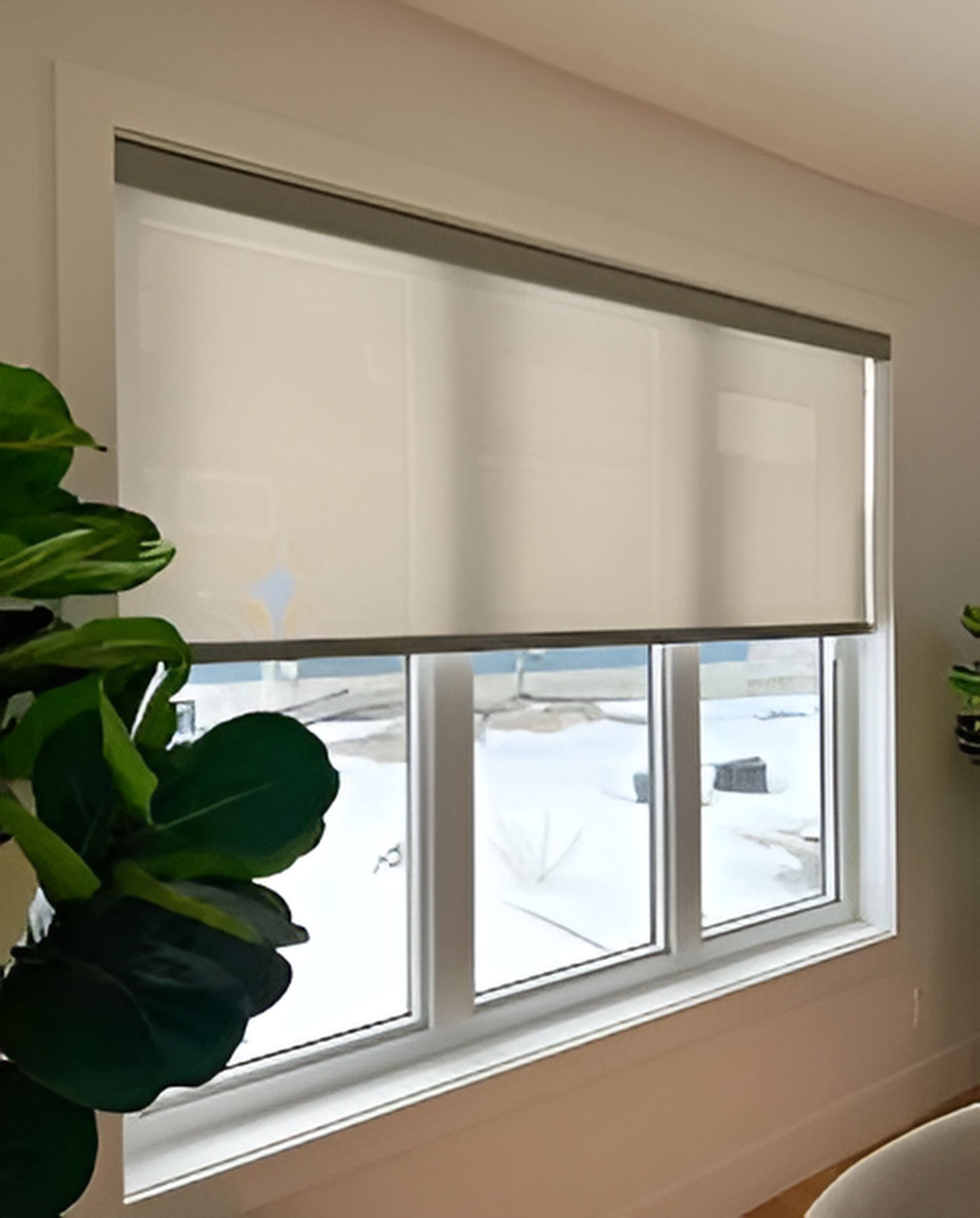 Custom Blinds