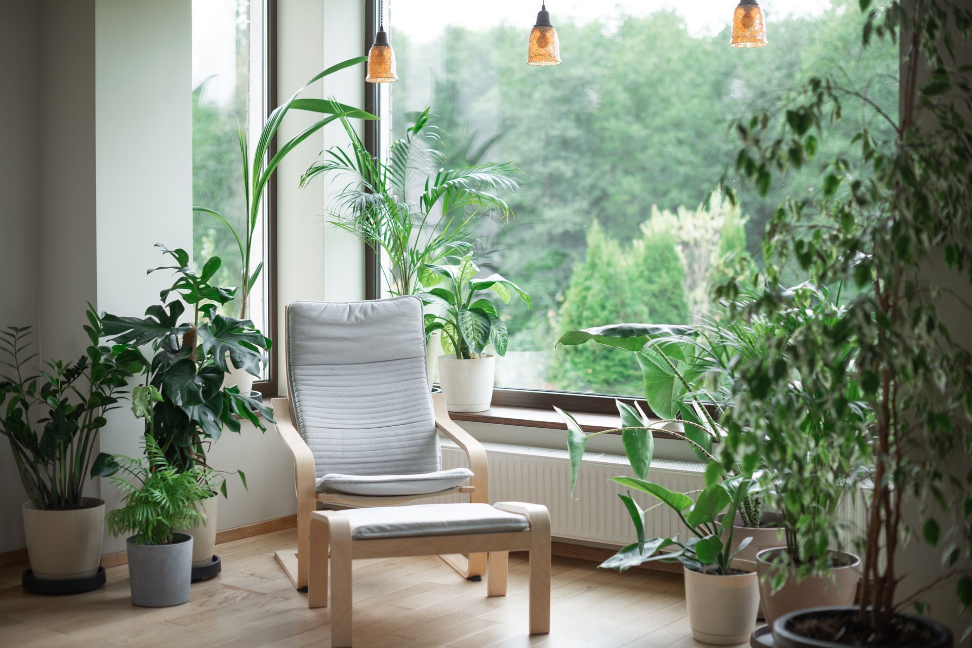 A living room filled with potted plants and a chair.