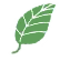 Leaf — Aurora, OH — Diggin Landscaping