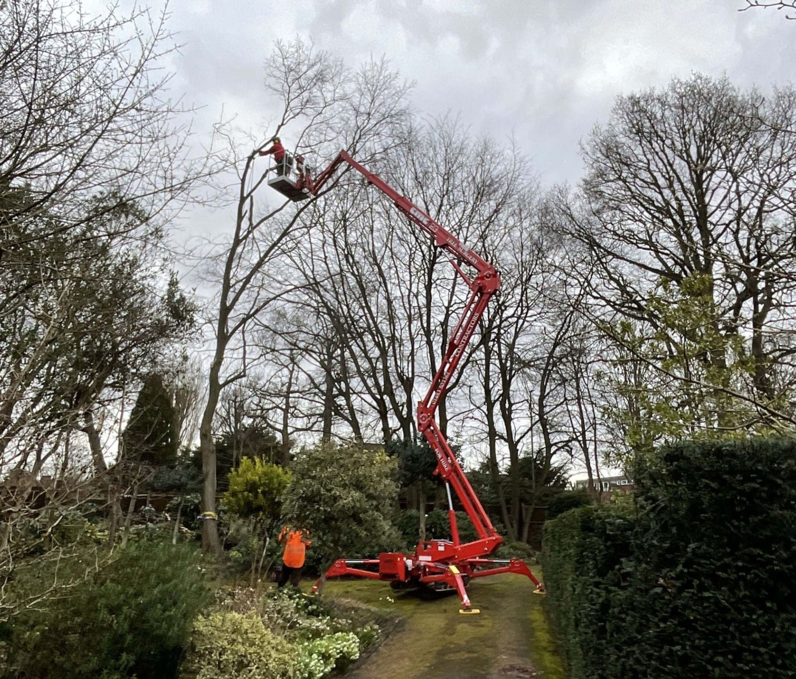 Red cherry picker trims tree branches. Person in bucket; ground worker. Overcast day.
