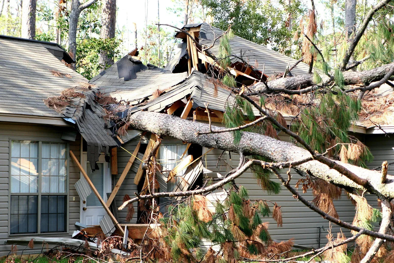 Tree fallen on a house, roof and walls damaged, debris scattered, daytime setting.