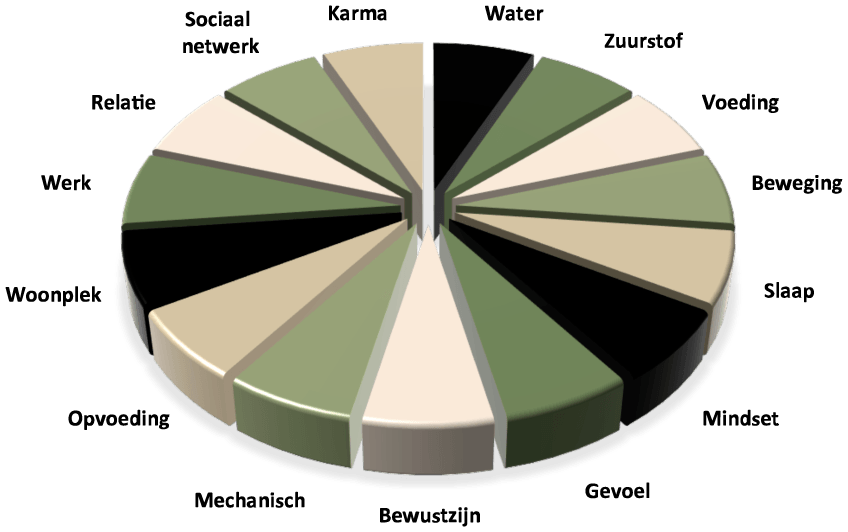 Taartdiagram lichaamsscan Melissa Moerman