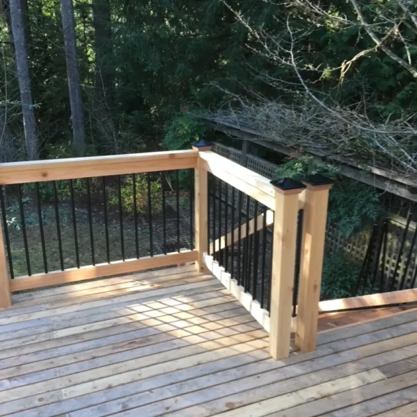 A wooden deck with a metal railing surrounded by trees