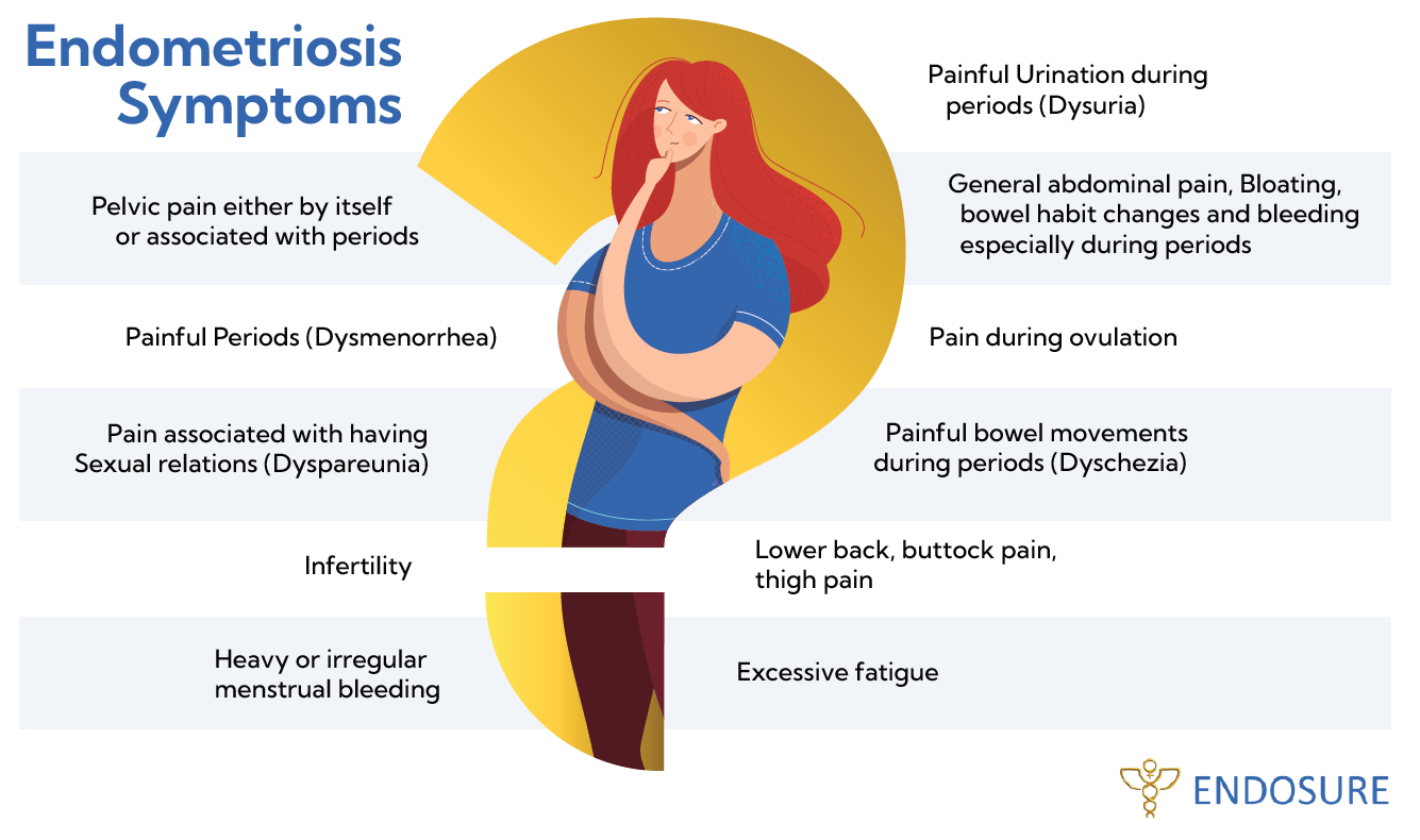 Endometriosis Symptoms Explained Infographic