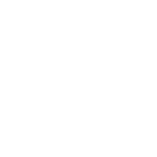 Car servicing icon