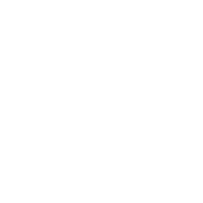 Car care icon