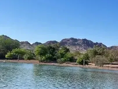 Henderson Artificial Turf - reflects the natural beauty seen in this image of Boulder City Urban Pond, featuring calm water bordered by lush trees and a backdrop of rugged desert mountains under a clear blue sky.