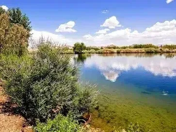 Henderson Artificial Turf - Serene lake scene with clear water reflecting clouds and greenery along the shore under a bright blue sky.