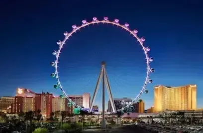 Henderson Artificial Turf - captures the vibrant essence of Las Vegas, as seen in this image of the illuminated High Roller observation wheel surrounded by glowing hotels and city lights against the night sky.
