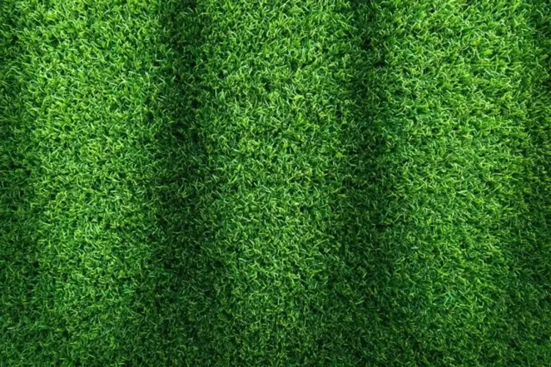 Henderson artificial turf - texture featuring a vibrant green grass background