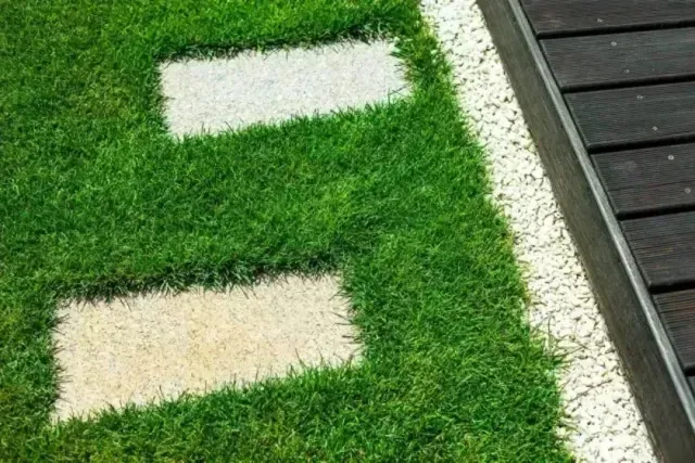 Henderson artificial turf - covers a grassy area featuring two square stones placed within it