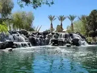 Henderson Artificial Turf - A serene waterfall cascades over rocky steps into a tranquil pond, surrounded by lush greenery and tall palm trees under a clear blue sky.