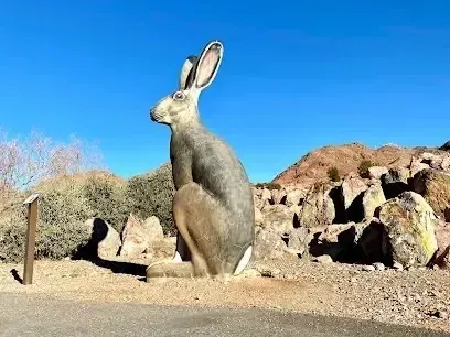 Henderson Artificial Turf- complements desert attractions like this scene from the Nature Discovery Trail and Rock Garden, featuring a large jackrabbit statue.
