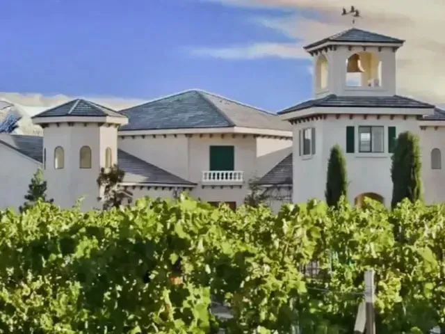 Henderson Artificial Turf - Luxurious Mediterranean-style villa surrounded by lush greenery and vineyard rows under a clear blue sky.