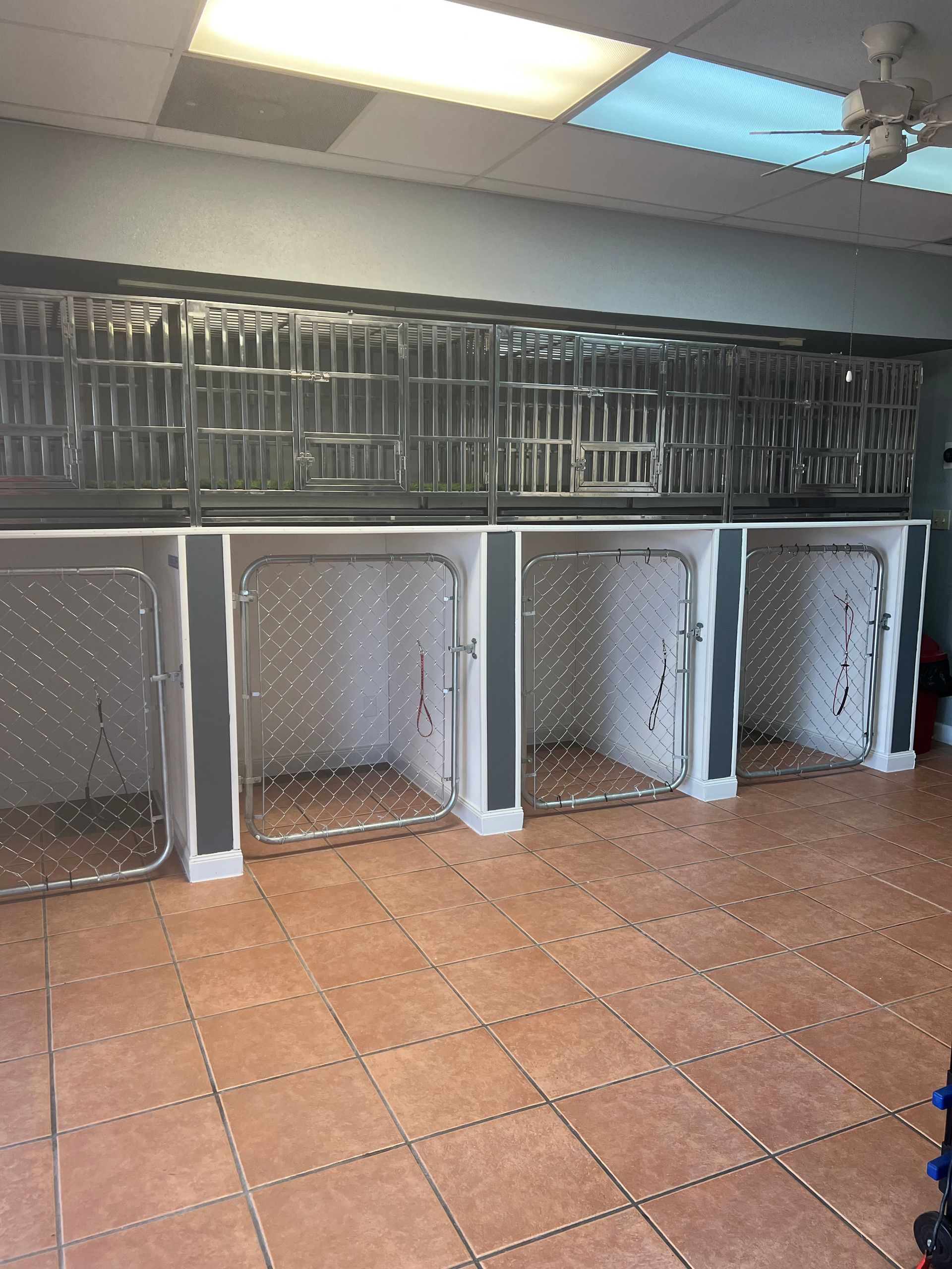Rows of dog kennels inside a building, with metal doors and a tiled floor.